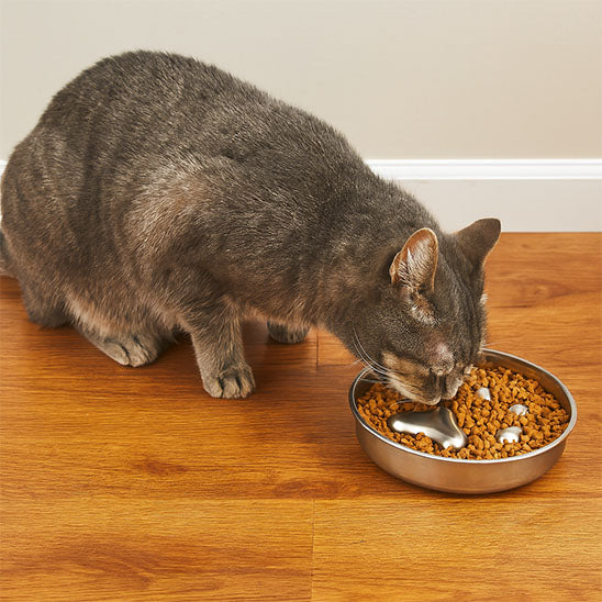 gamelle chat anti glouton | Croquette Contrôlée