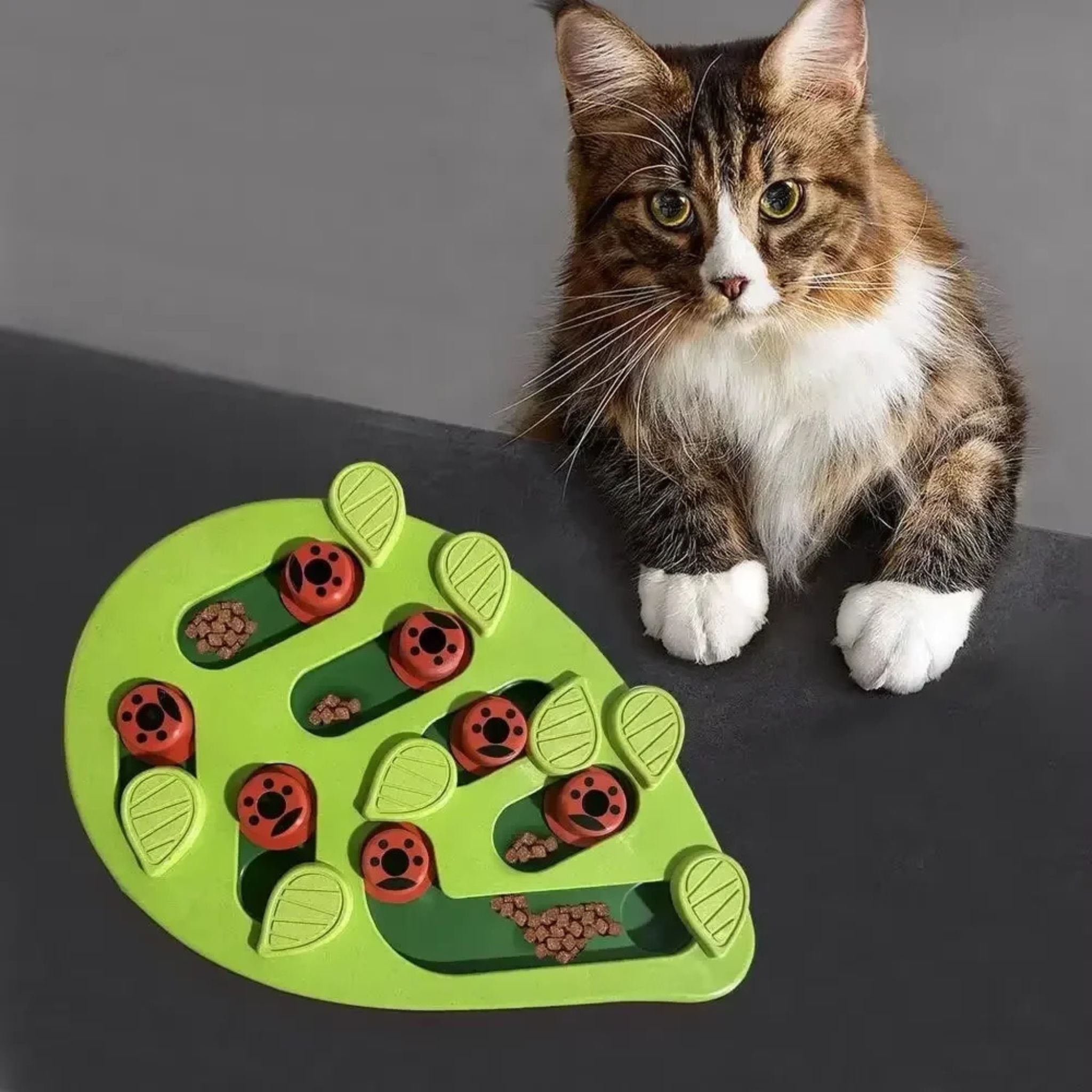 jeu pour chat | Feuille Puzzle