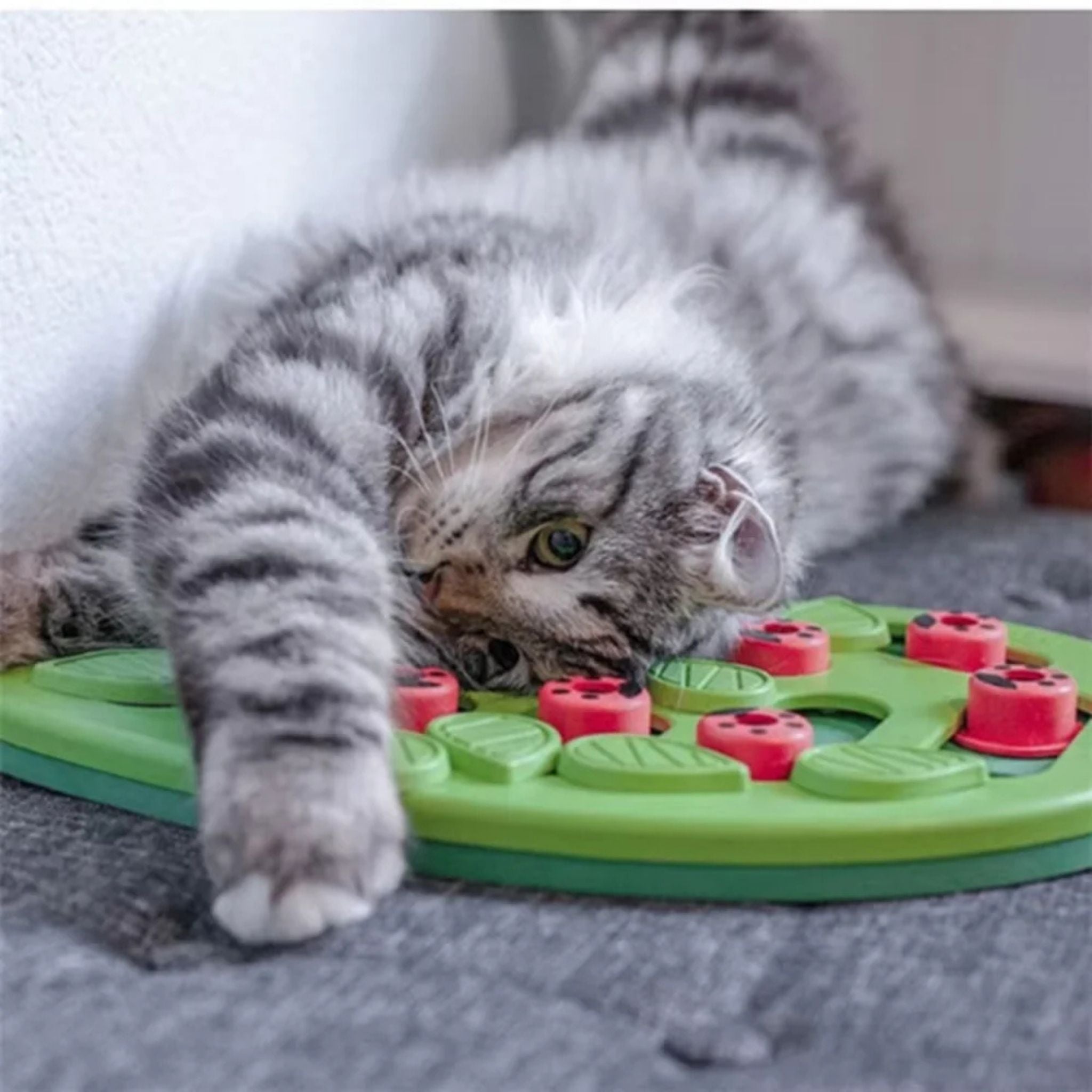 jeu pour chat | Feuille Puzzle