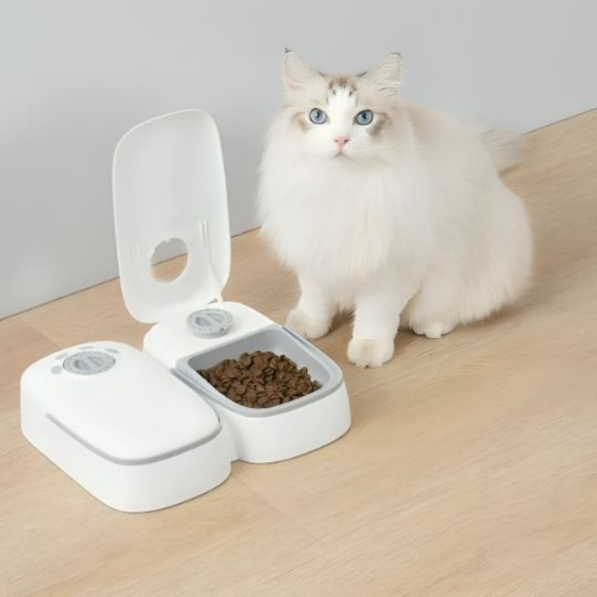 gamelle chat automatique | Miamatic