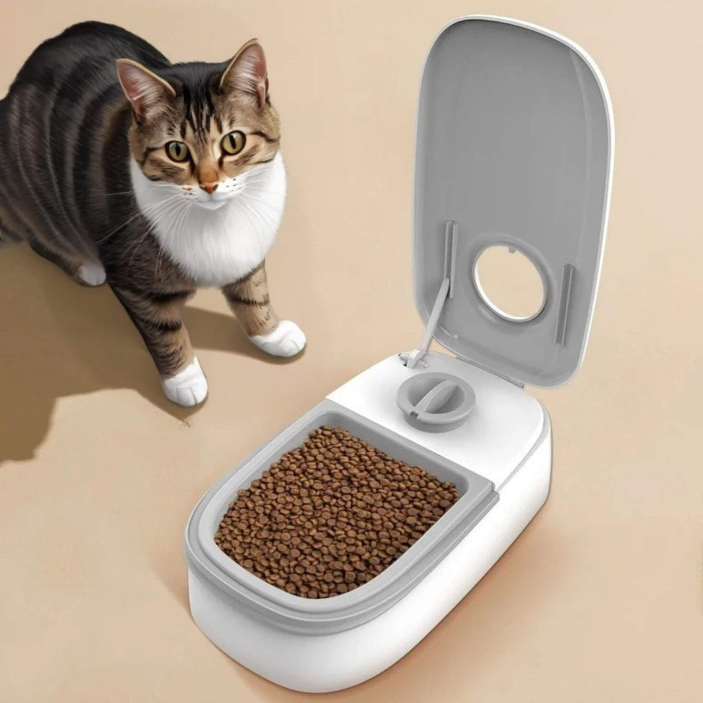 gamelle-chat-automatique-simple-grise