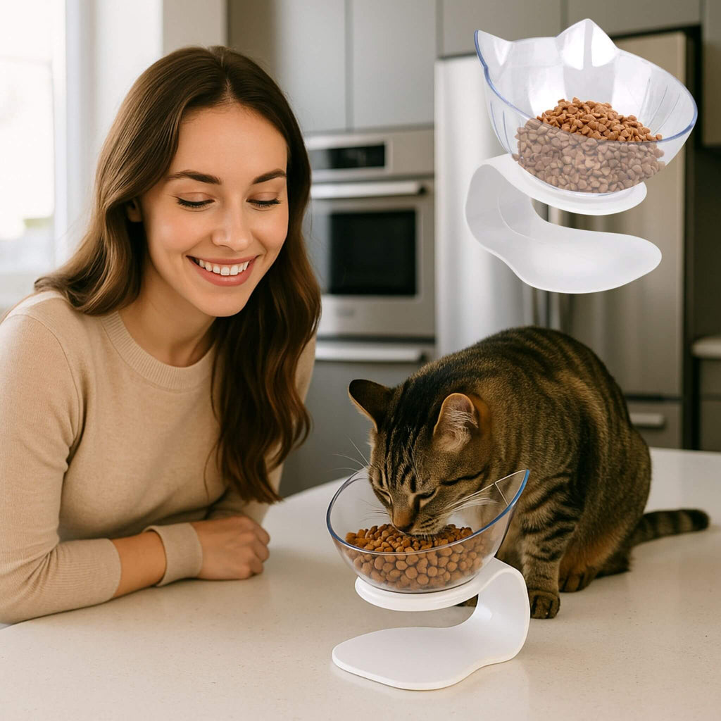 gamelle chat | RAISED BOWL