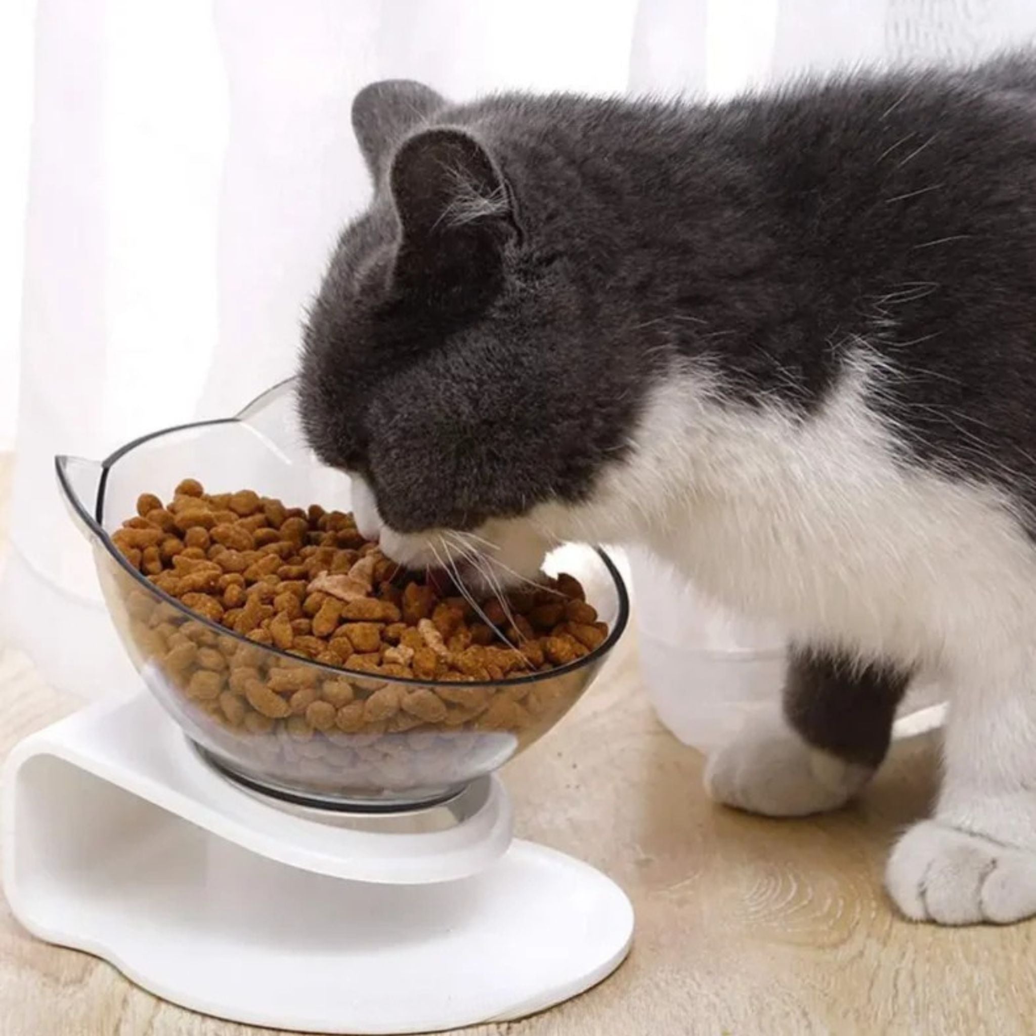 gamelle chat | RAISED BOWL