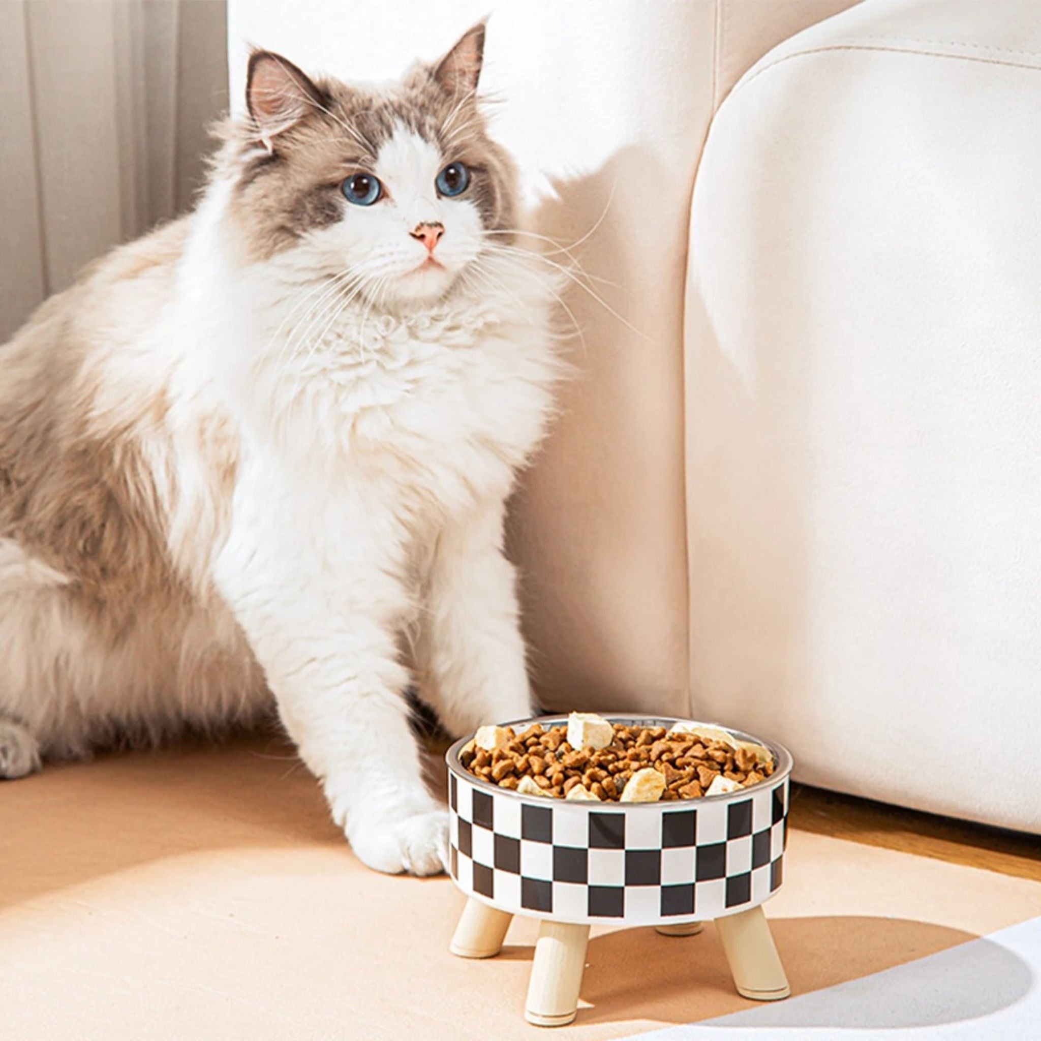 gamelle chat surélevée | POLKA FEED