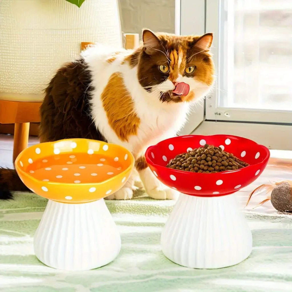 Gamelle chat surélevée champignon