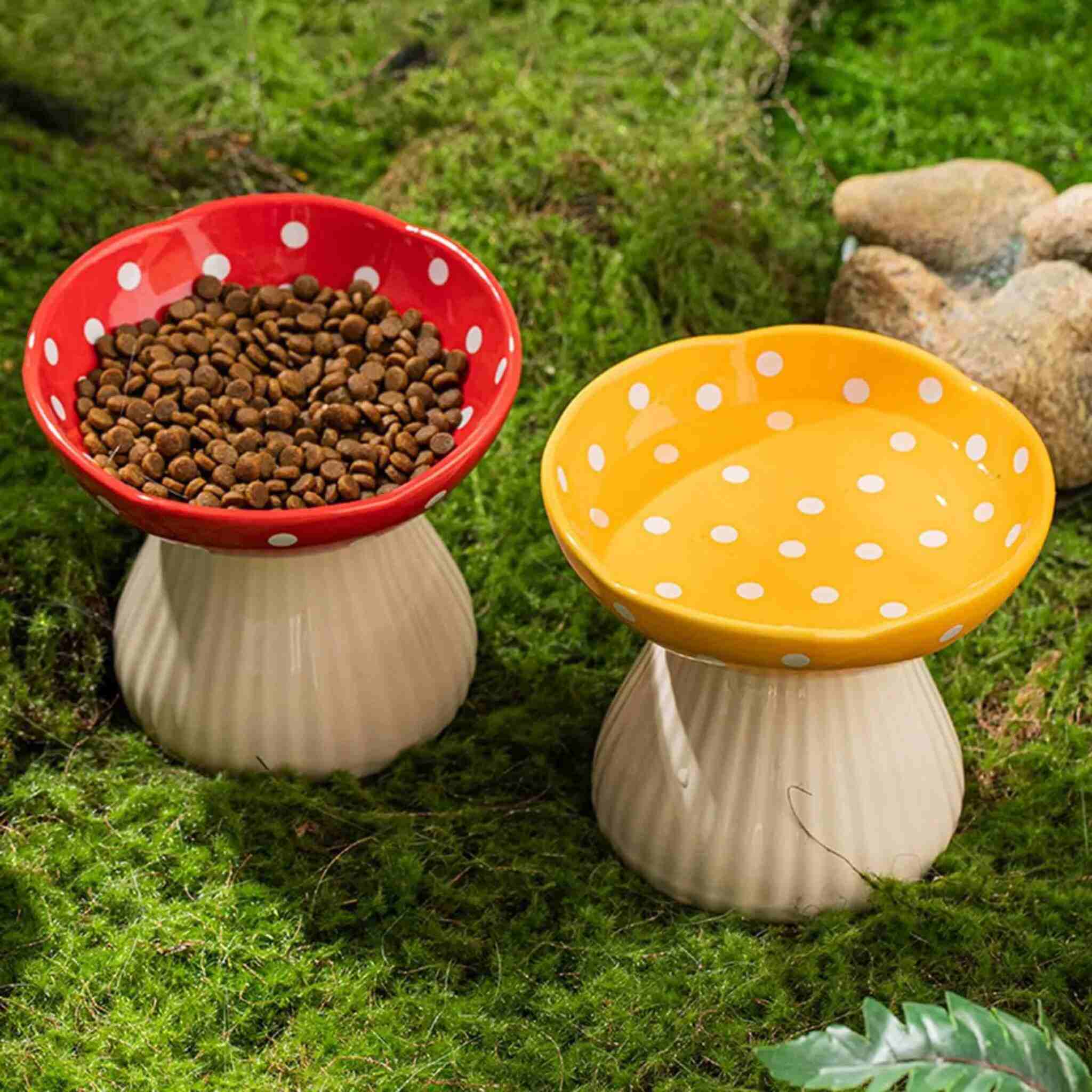 Gamelle chat surélevée champignon