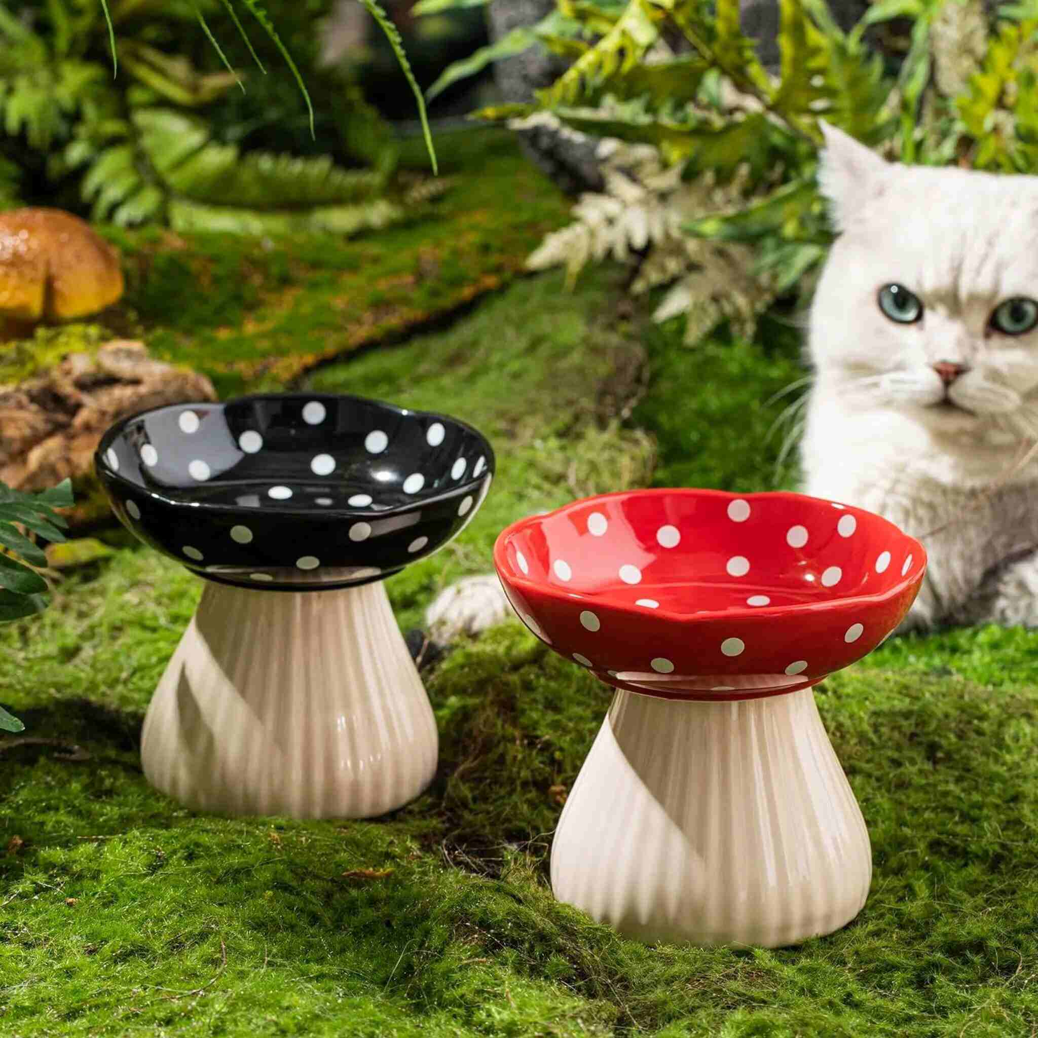 Gamelle chat surélevée champignon