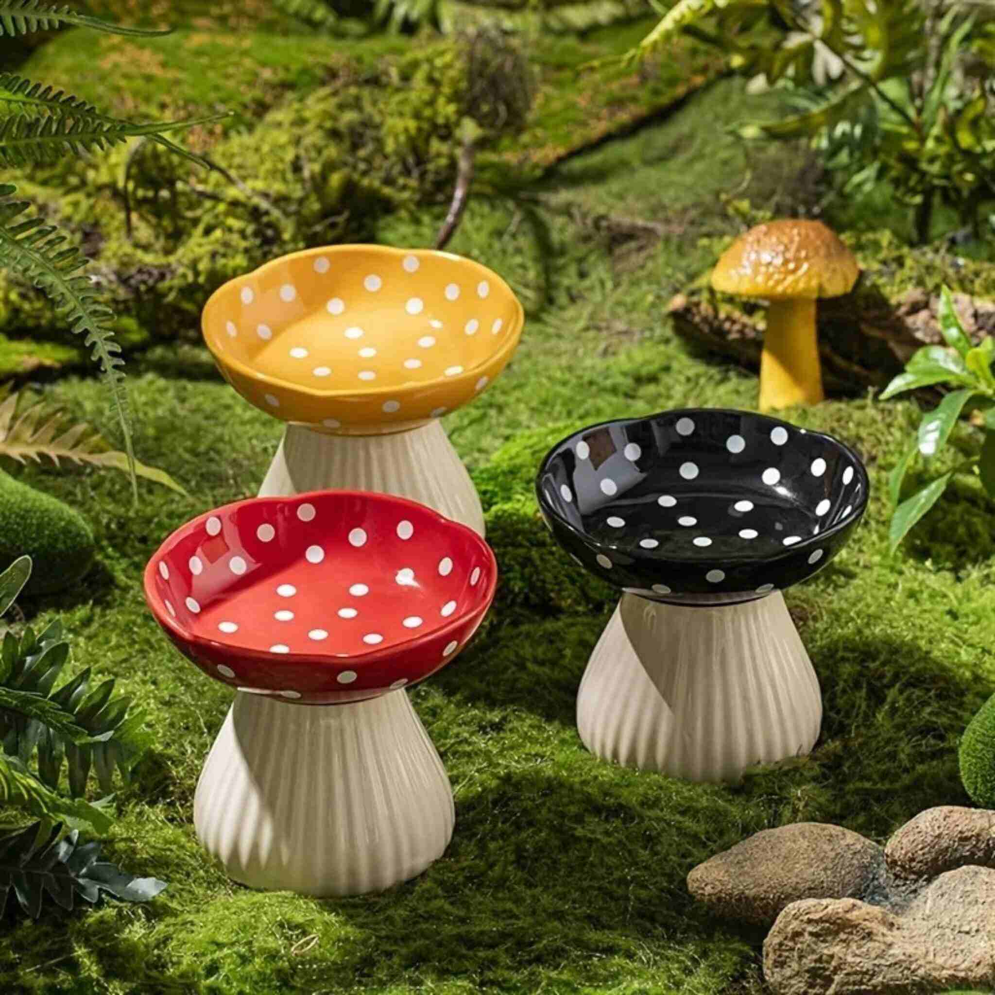 Gamelle chat surélevée champignon