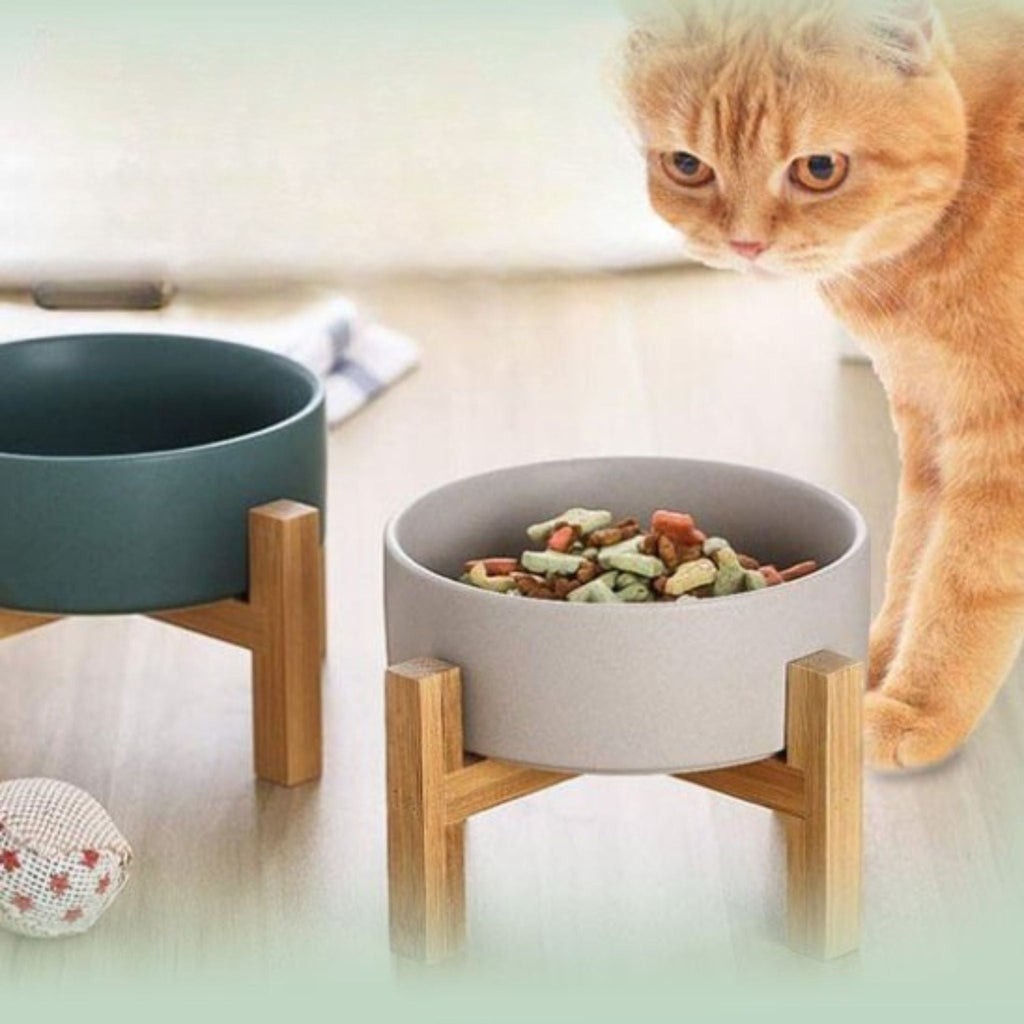 gamelle chat surélevée| chasavour