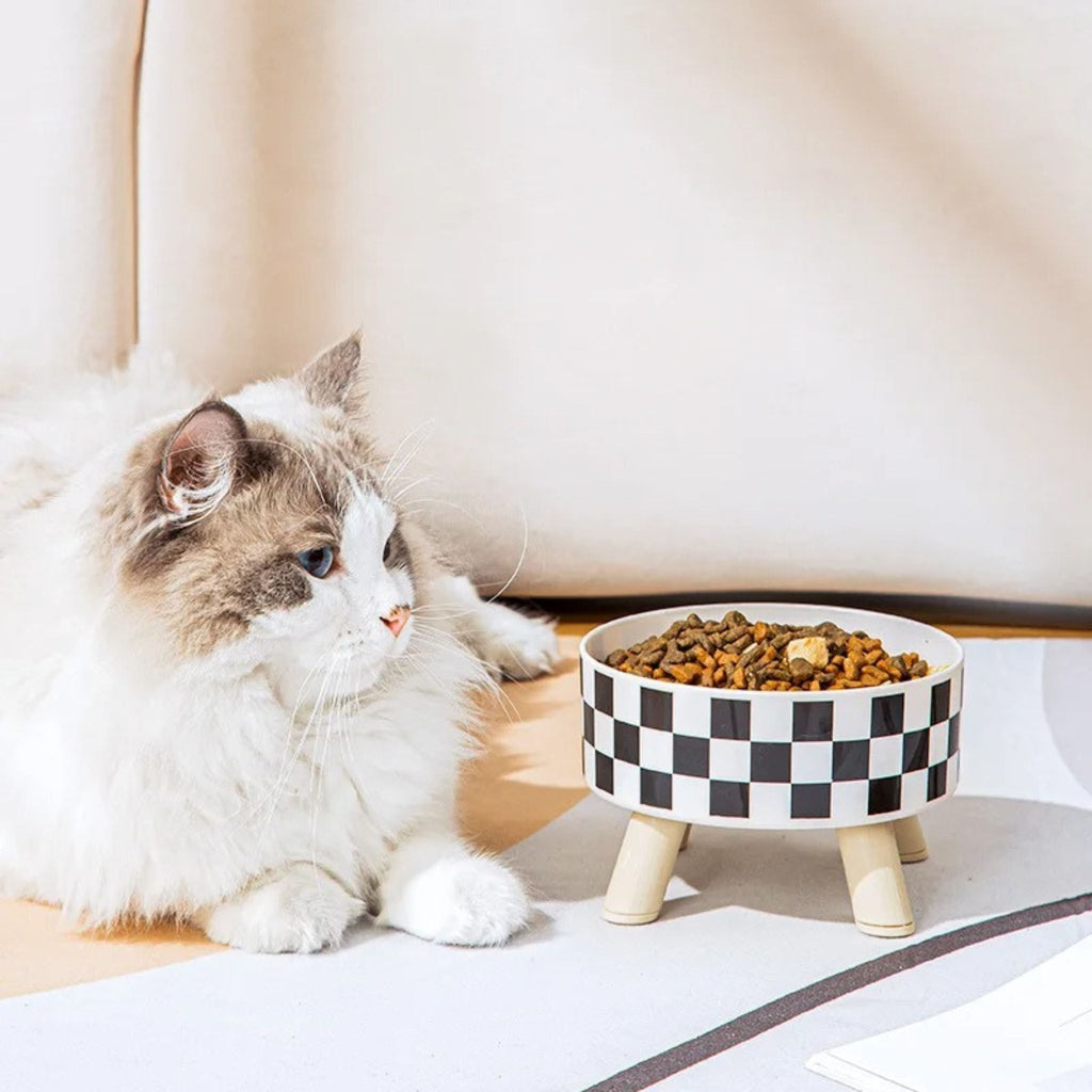 gamelle chat surélevée | POLKA FEED