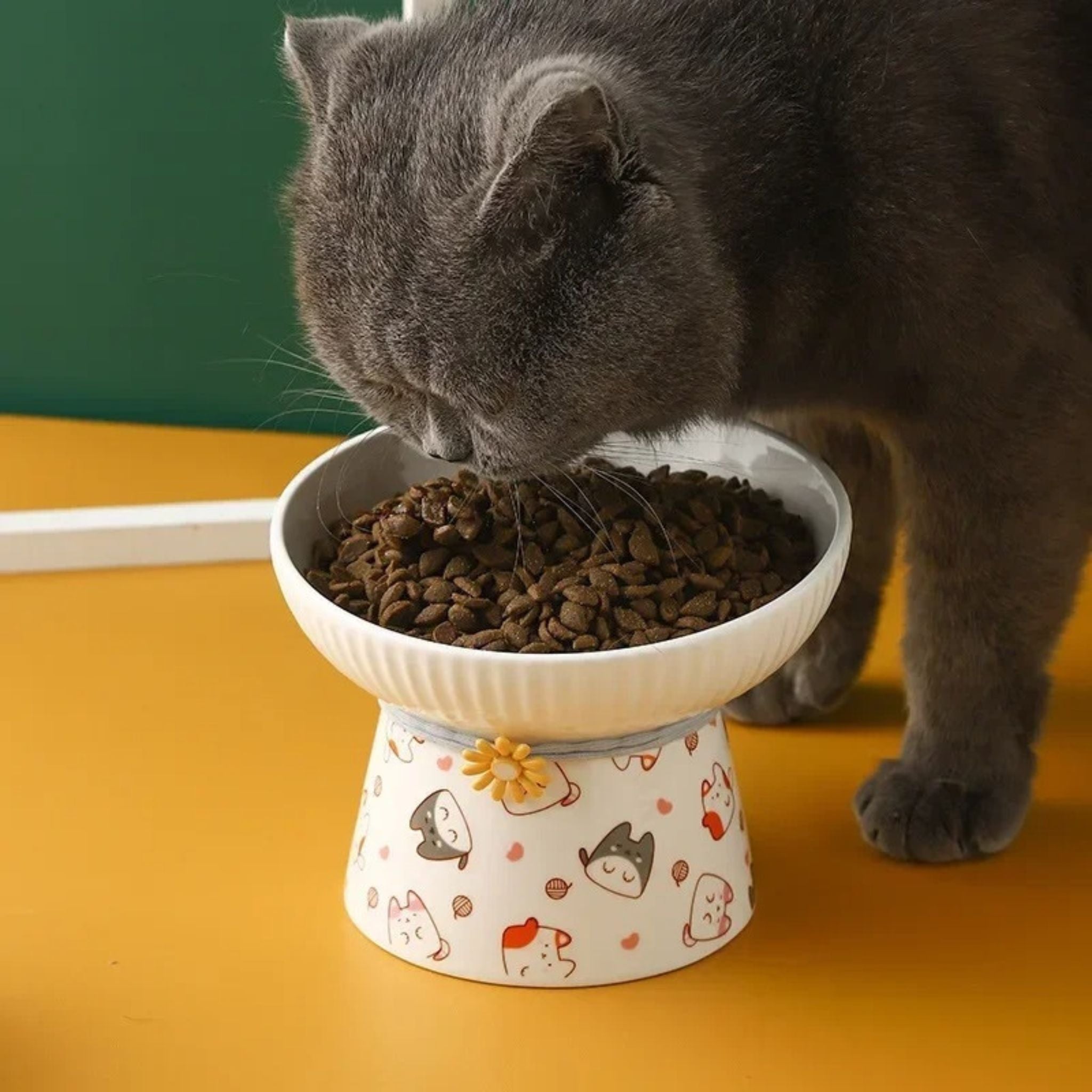 gamelle-chat-surélevée-haute