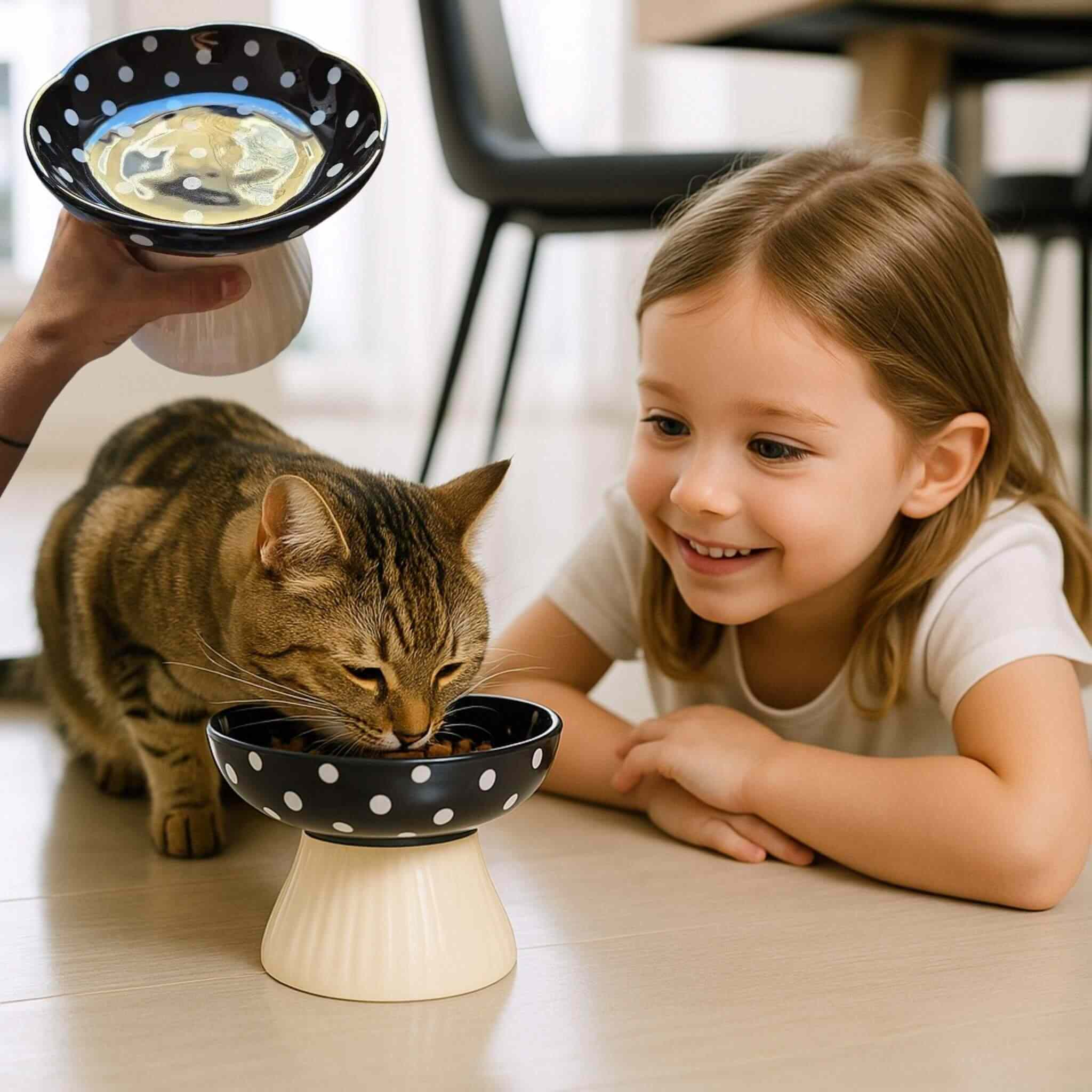 gamelle-chat-surélevée-noir