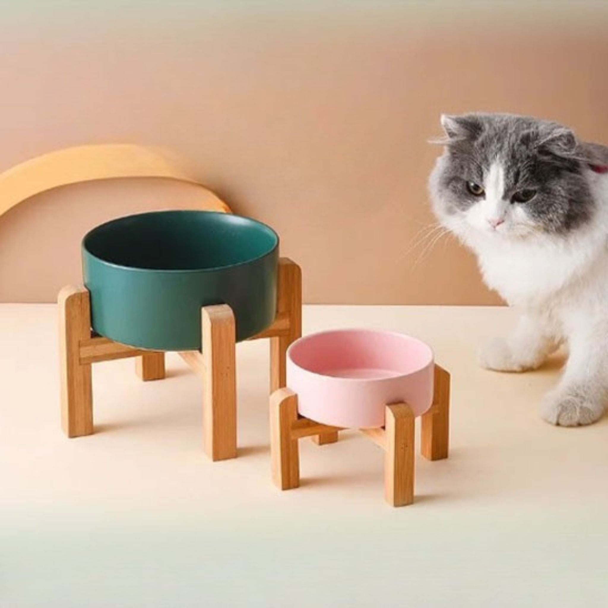 gamelle chat surélevée| chasavour
