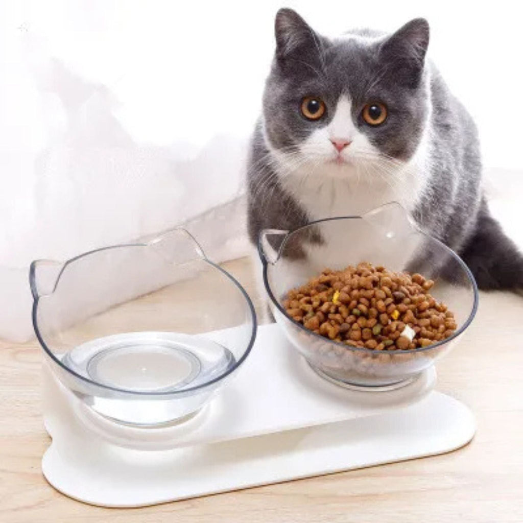 gamelle chat | RAISED BOWL