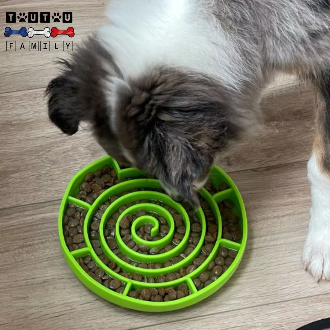 Gamelle chien anti-glouton - GourmetToutou™