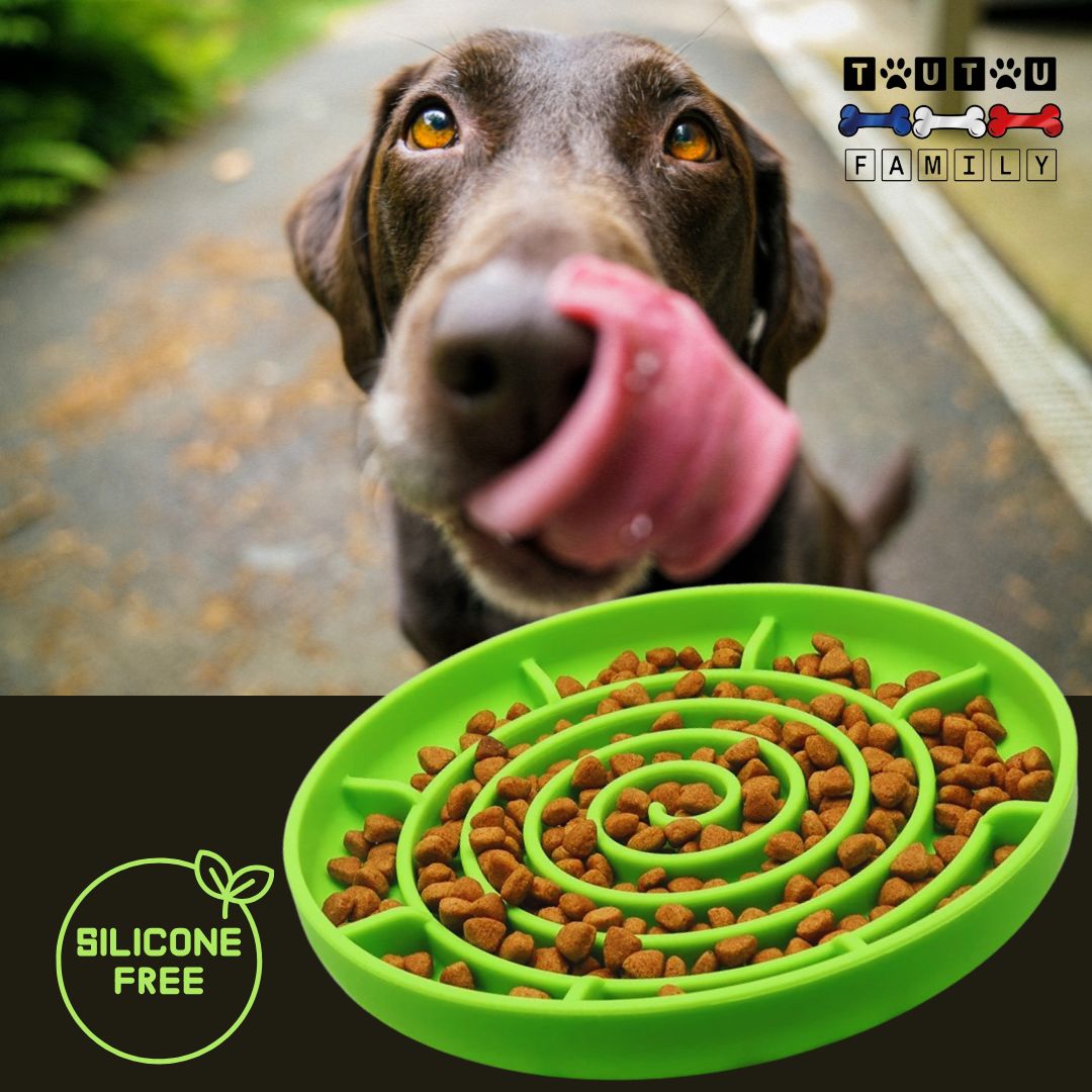 Gamelle-chien-anti-glouton-spirale-vert-un-labrador-qui-se-lèchent-les-babines-devant-la-gamelle-anti-glouton-pour-alimentation-sèche-ou-humides-lavable-au-lave-vaisselle