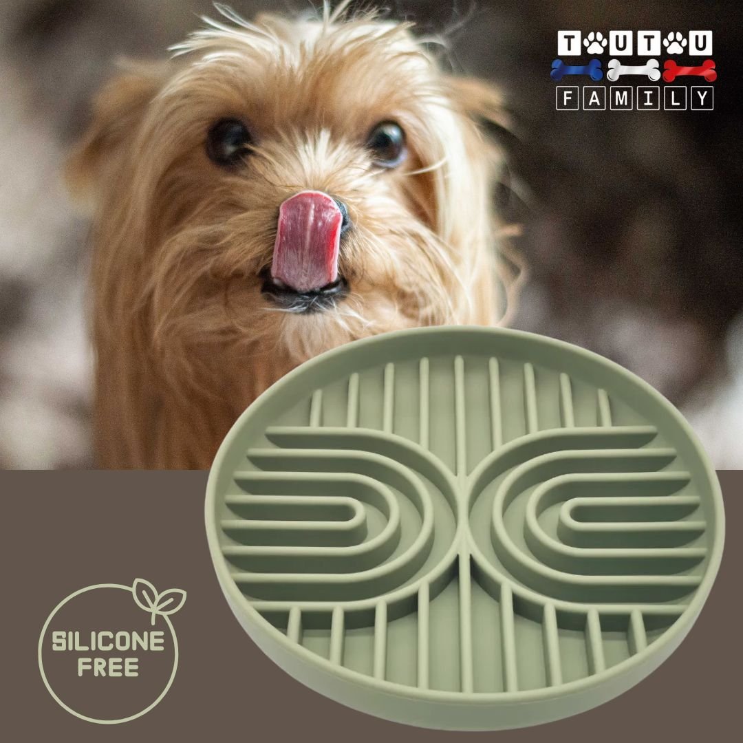Gamelle-chien-anti-glouton-silicone-vert-un-yorkshire-qui-se-lèche-les-babine-avec-la-gamelle-anti-glouton-chien-lavable-au-lave-vaisselle-sans-produits-toxiques