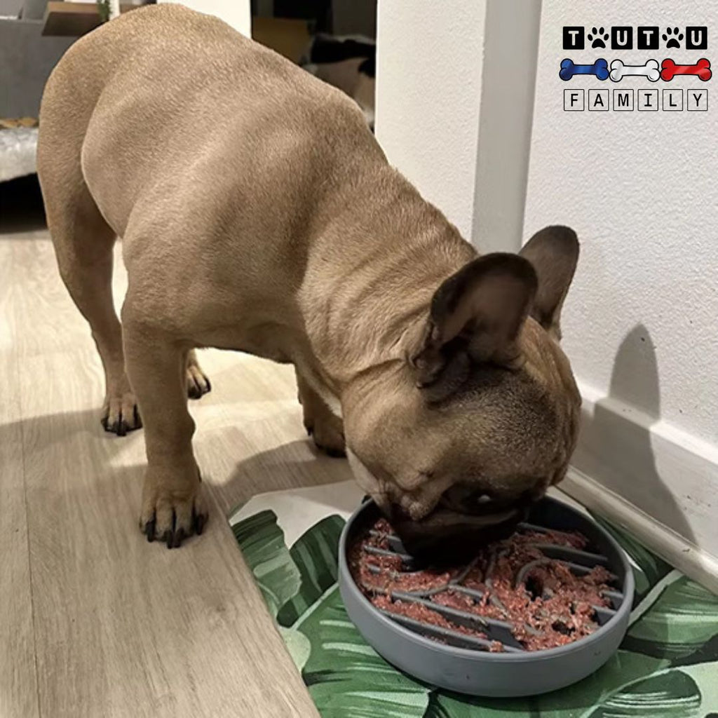 Gamelle chien anti glouton - RetardeToutou™