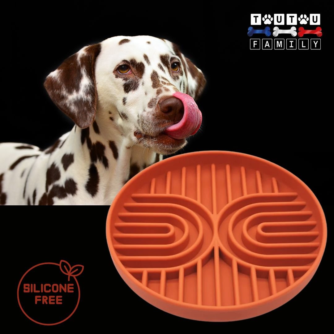 Gamelle-chien-anti-glouton-rouge-un-dalmatien-qui-se-lèche-le-babine-avec-sa-gamelle-anti-glouton