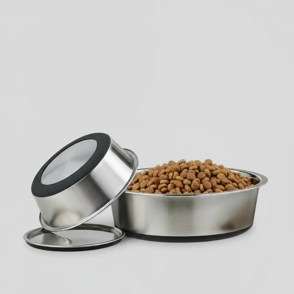 Gamelle En Acier Inoxydable Pour Chien