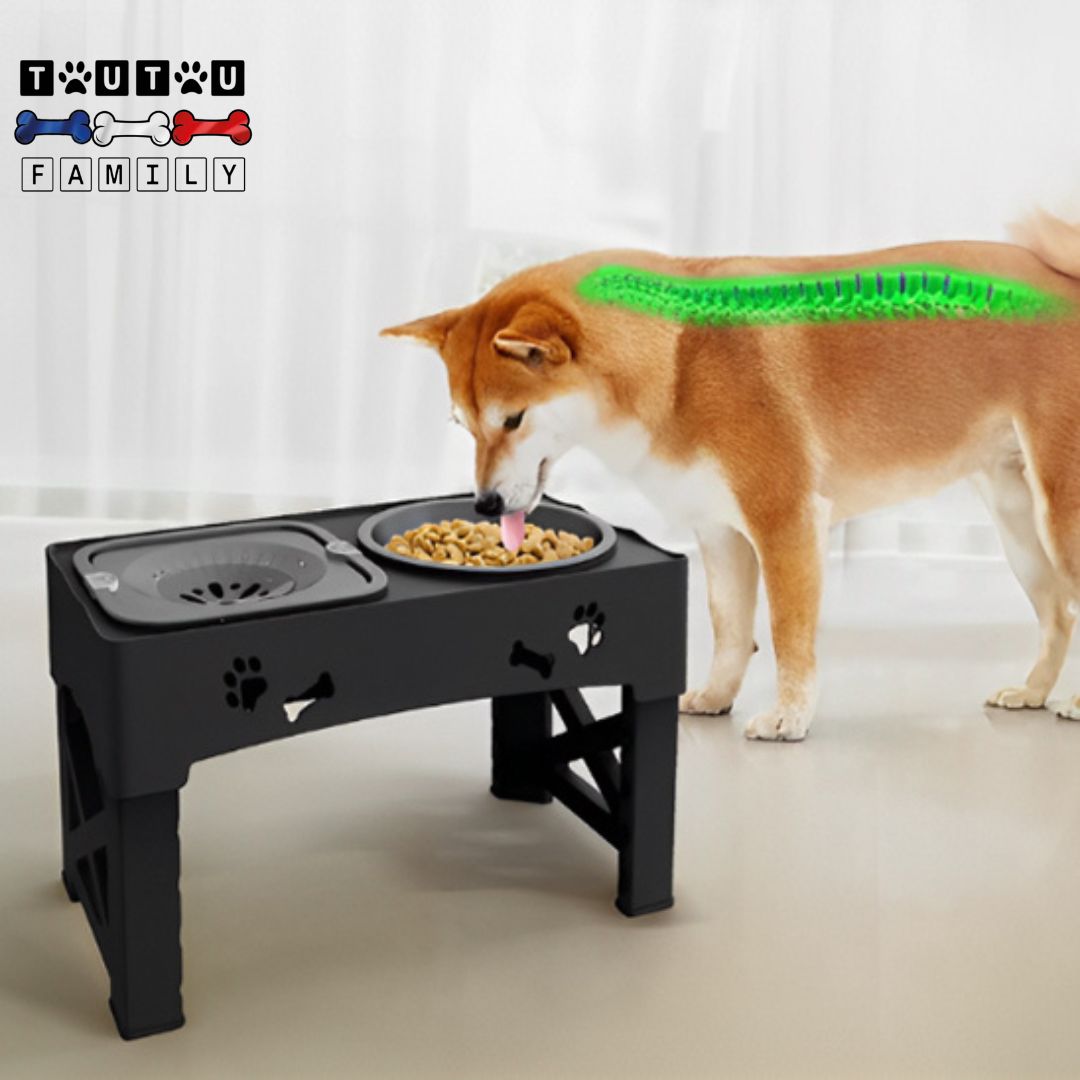 Gamelle chien surélevée - AntigloutonToutou™