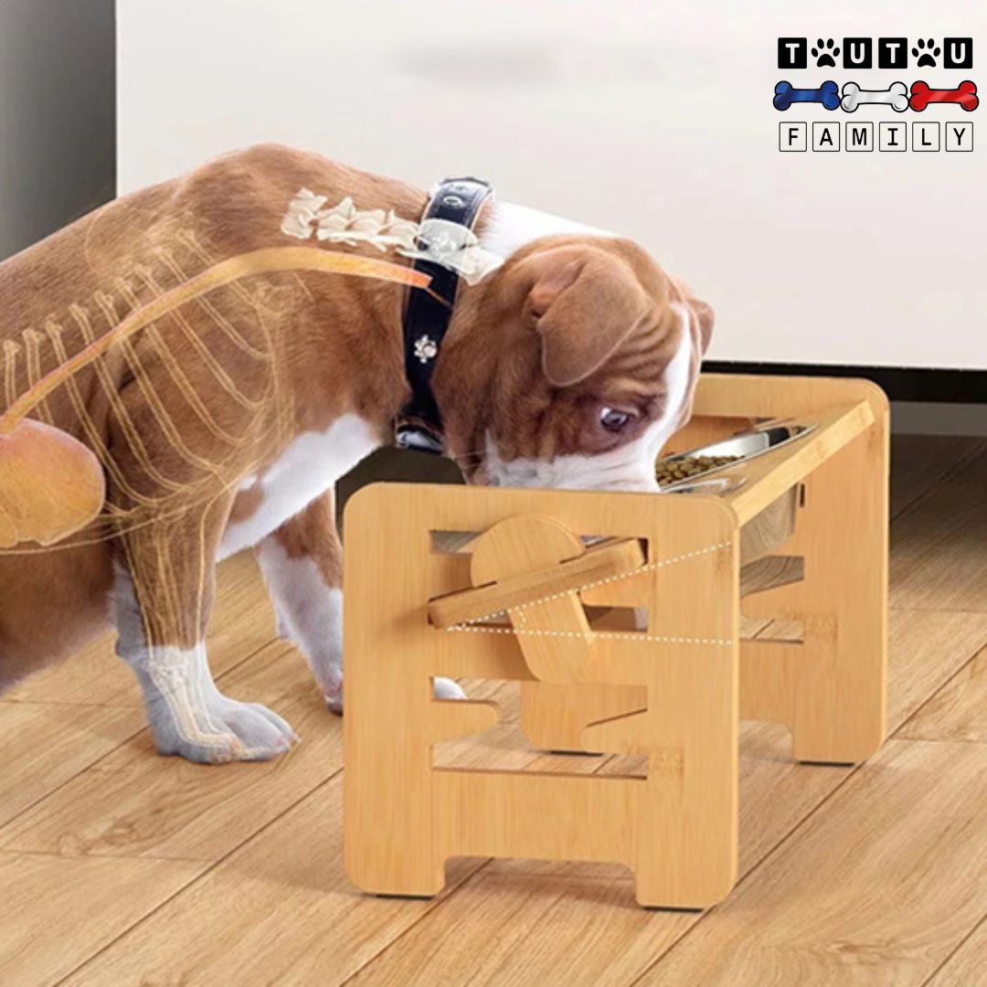 Gamelle chien surélevée  - BambouToutou™