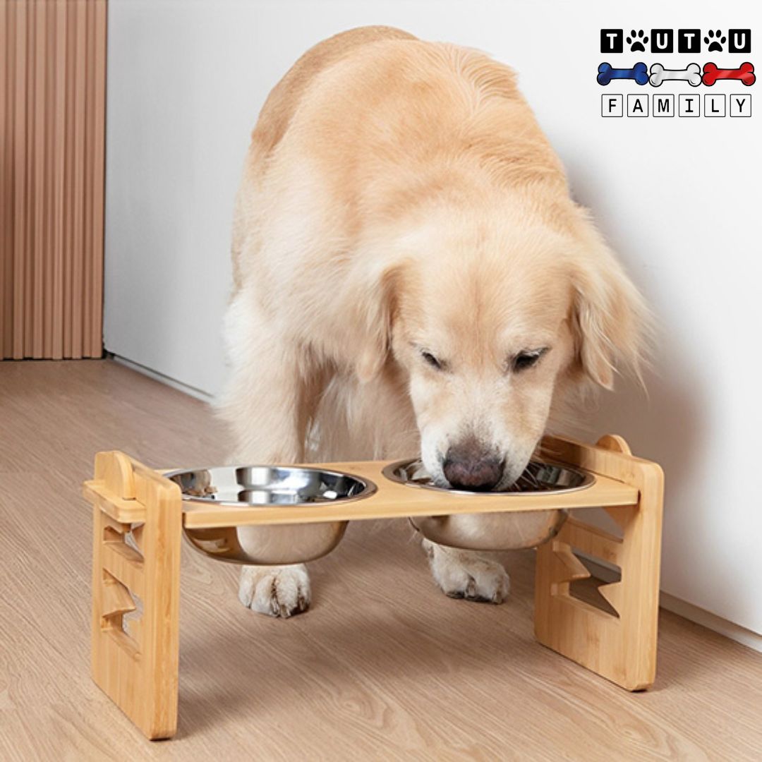 Gamelle chien surélevée  - BambouToutou™