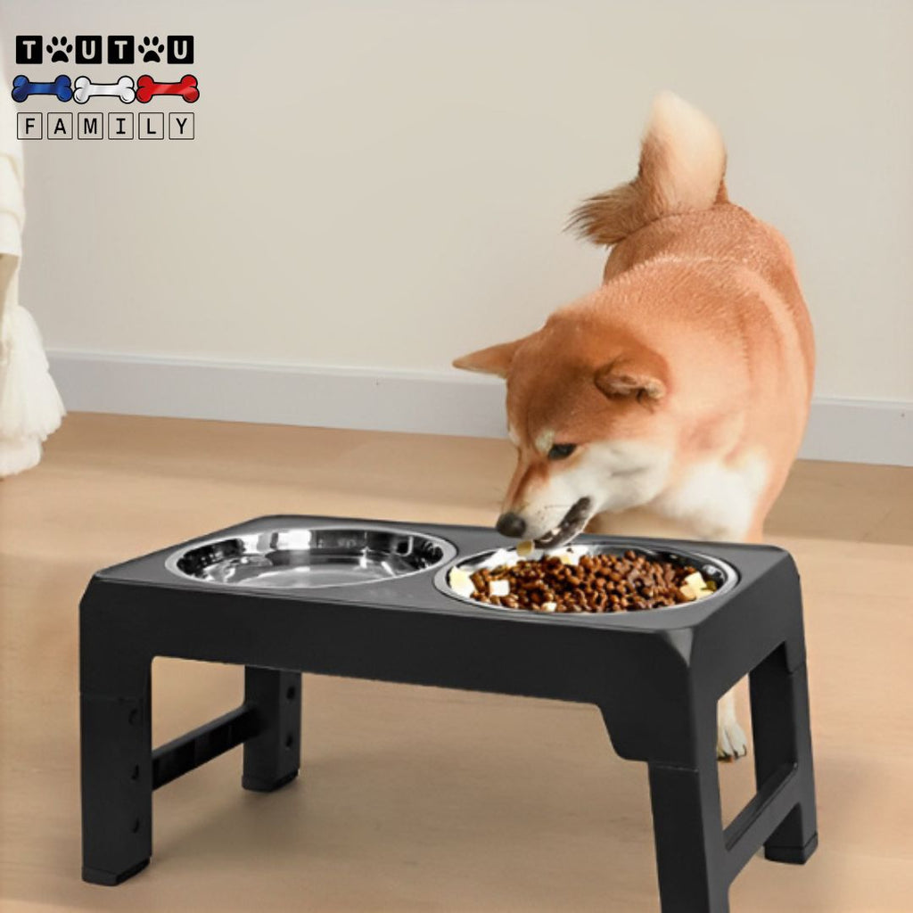 Gamelle chien surélevée pliable - InoxToutou™