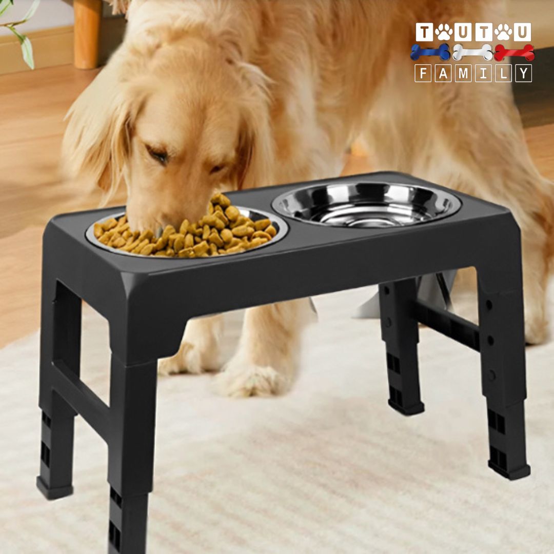 Gamelle chien surélevée pliable - InoxToutou™