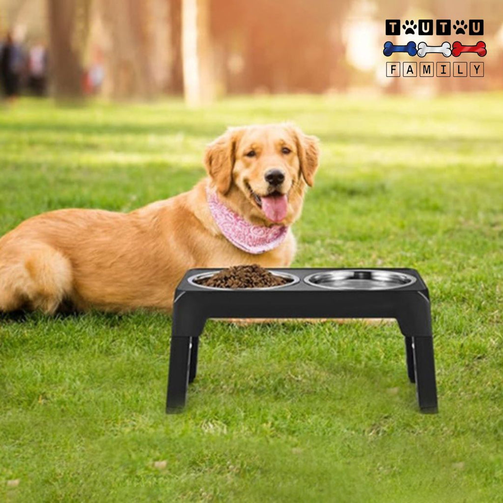 Gamelle chien surélevée pliable - InoxToutou™