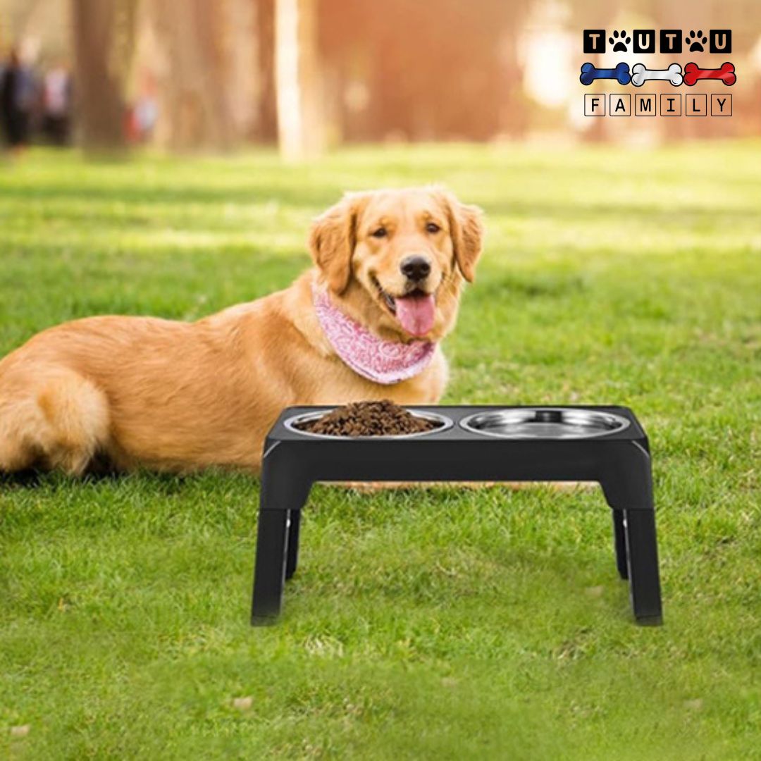 Gamelle chien surélevée pliable - InoxToutou™
