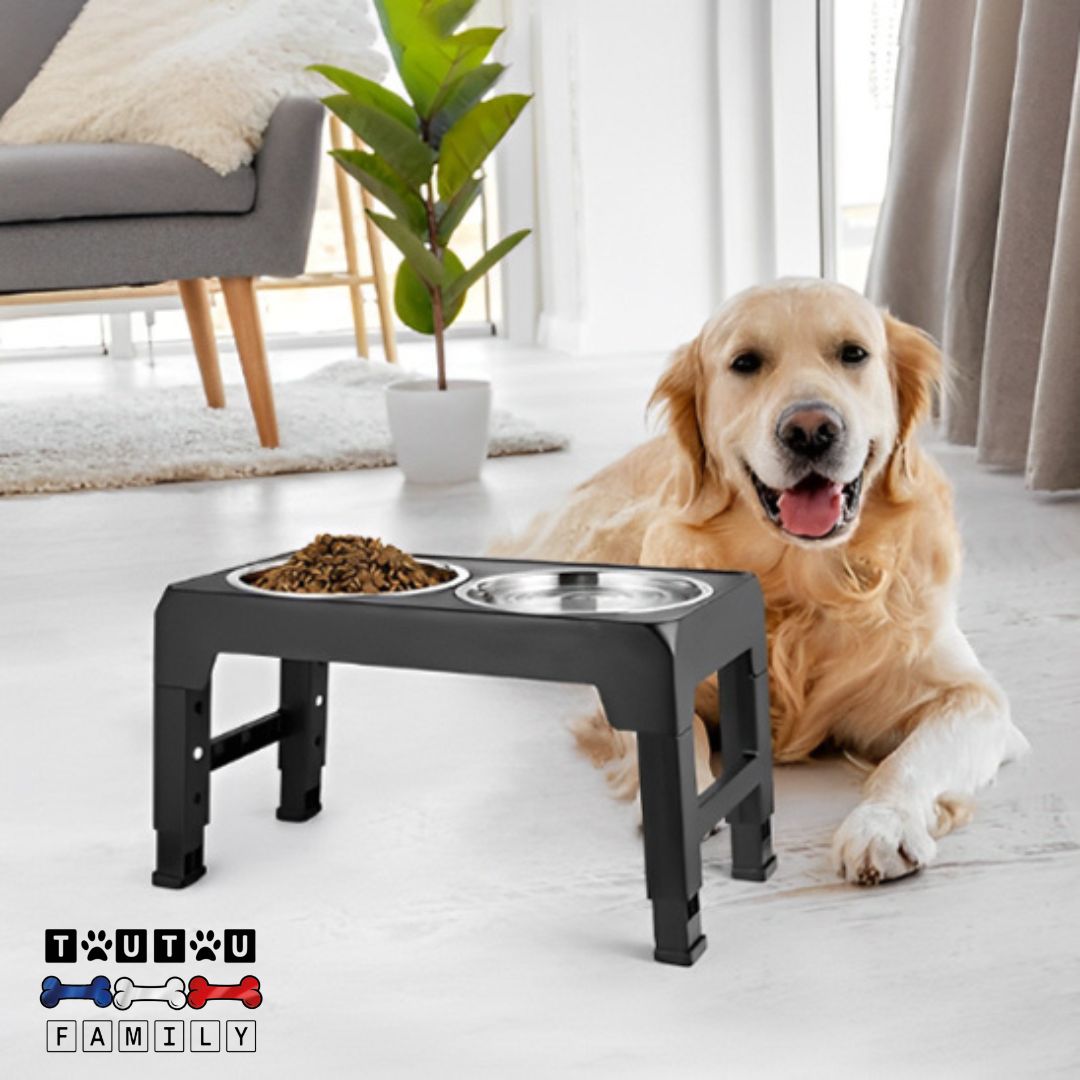 Gamelle chien surélevée pliable - InoxToutou™