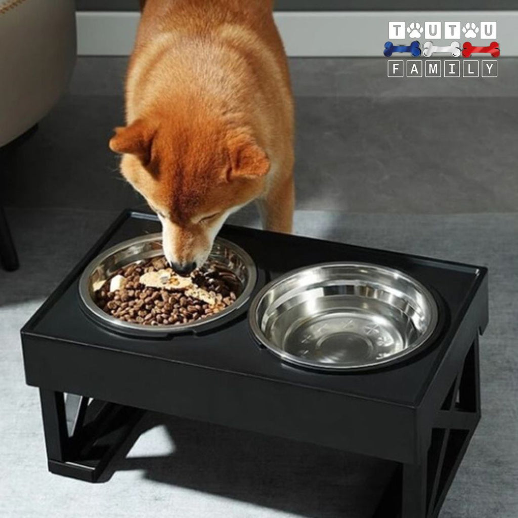 Gamelle chien surélevée - RéglableToutou™