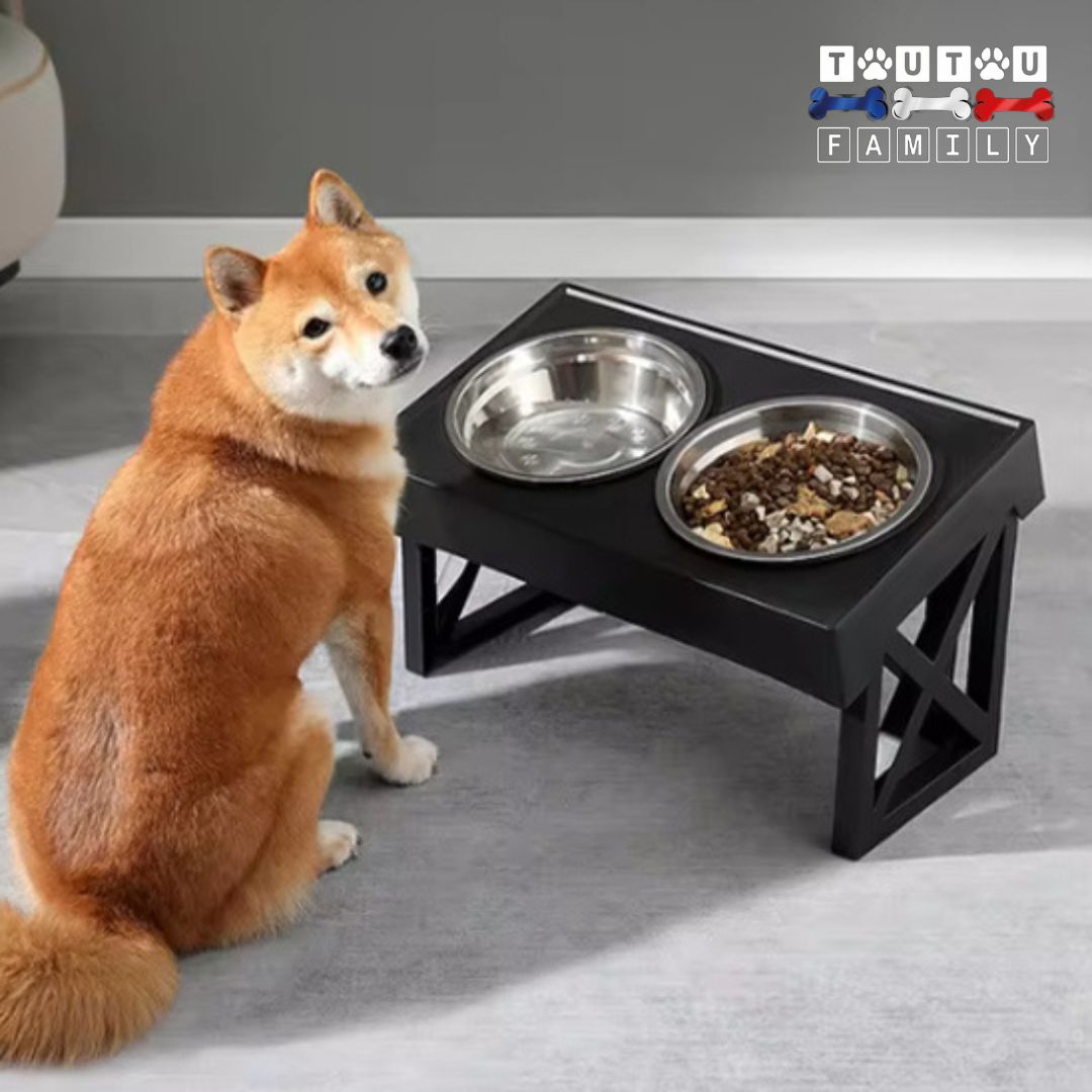 Gamelle chien surélevée - RéglableToutou™