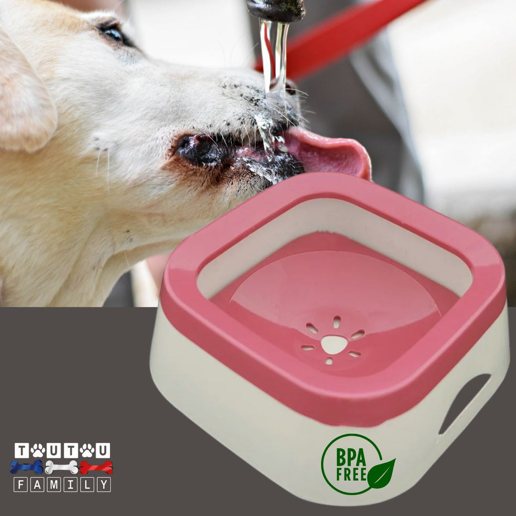 Gamelle d'eau pour chien anti éclaboussure - ImpecToutou™