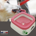 Gamelle d'eau pour chien anti éclaboussure - ImpecToutou™