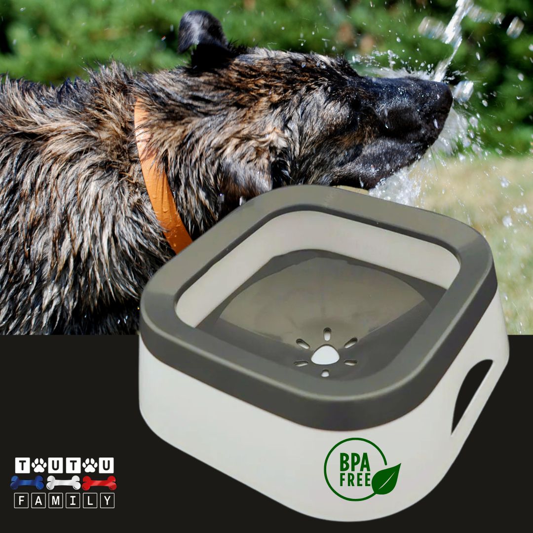 Gamelle d'eau pour chien anti éclaboussure - ImpecToutou™