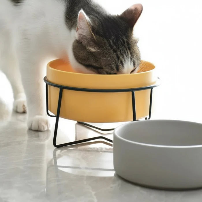 Gamelle Céramique Avec Support Design Pour Chien