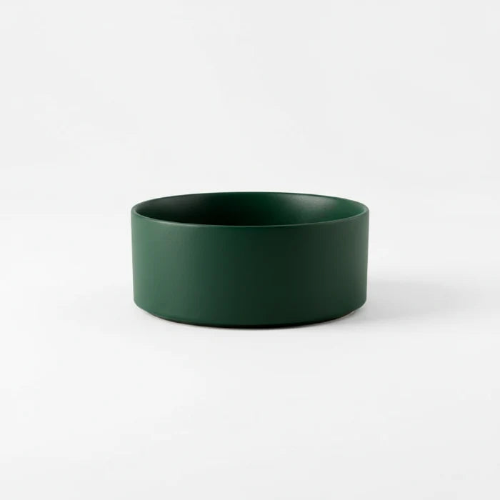 Gamelle design chien Oscar et Plume en silicone vert d'eau pour repas faciles et élégants