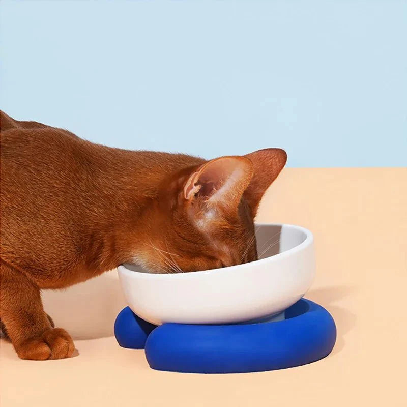 Gamelle Design Pour Chien Et Chat Colorée