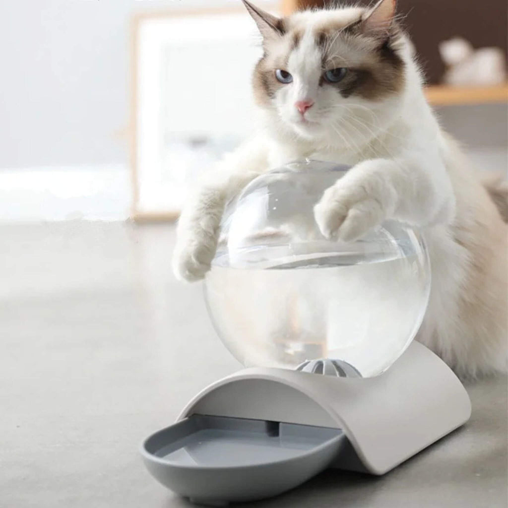 gamelle-eau-chat-gris-hydratation