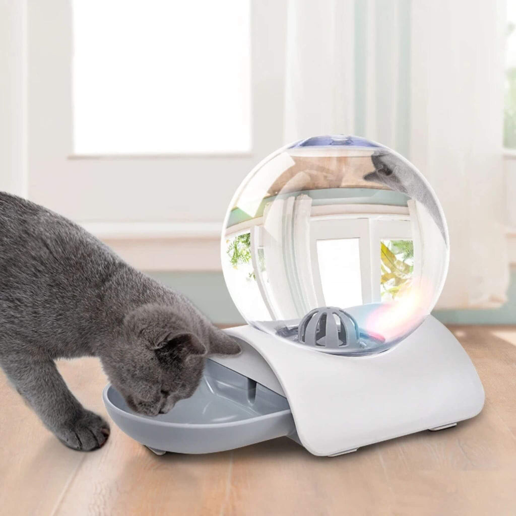gamelle eau chat | ChatOasis