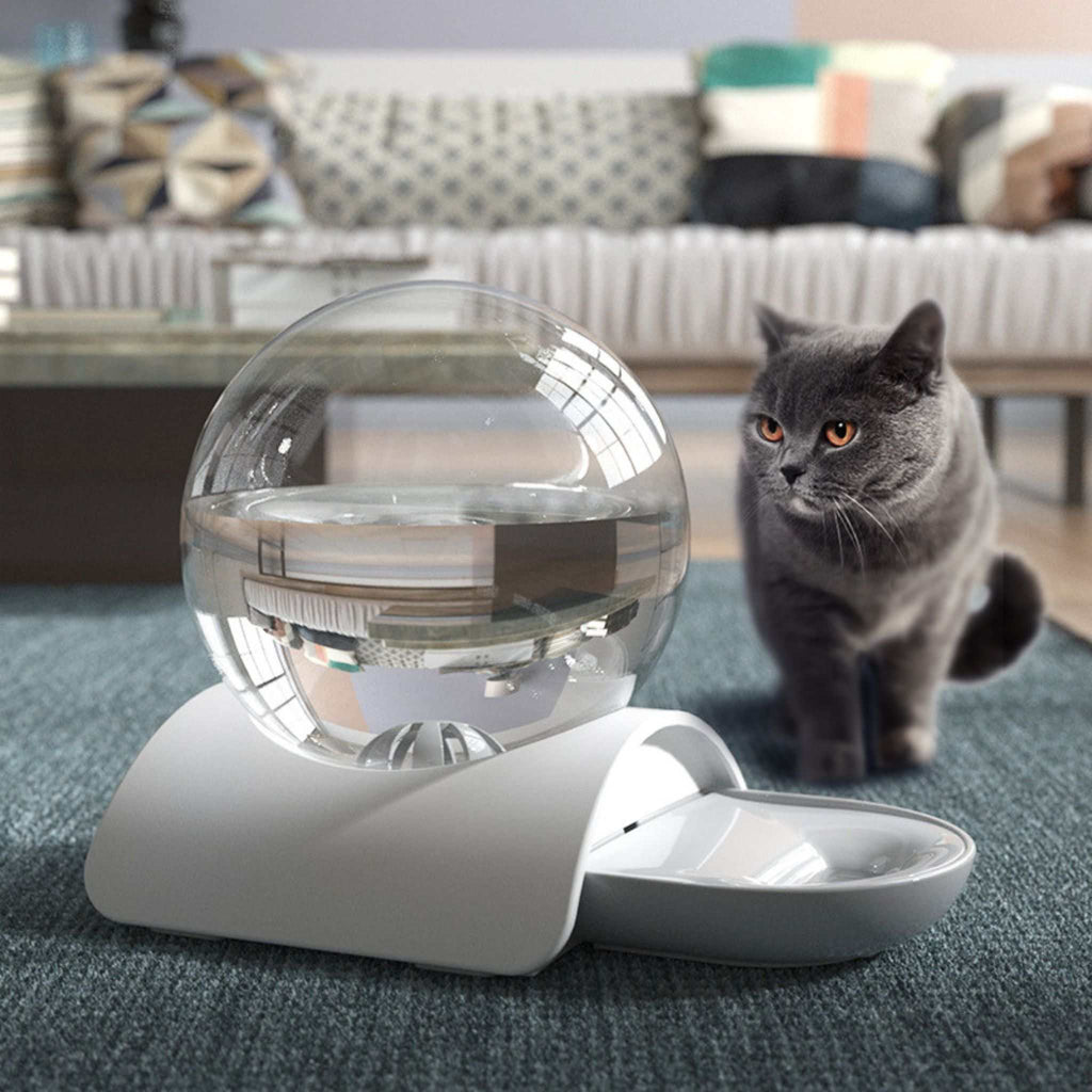 gamelle eau chat | ChatOasis