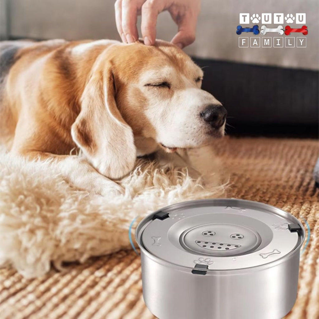 Gamelle eau chien anti renversement - SecToutou™