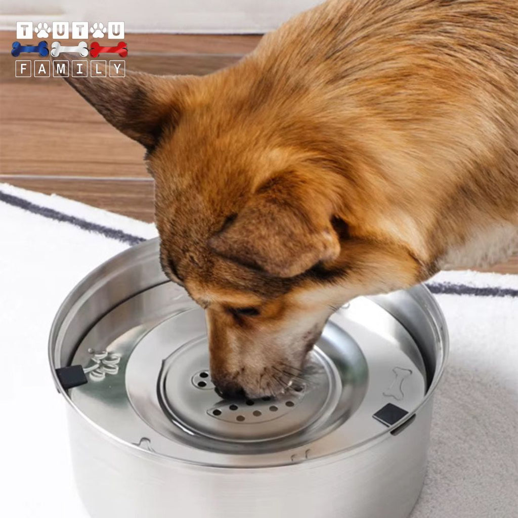 Gamelle eau chien anti renversement - SecToutou™