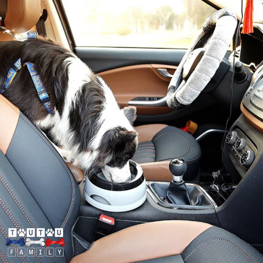 Gamelle eau chien anti renversement - StableToutou™