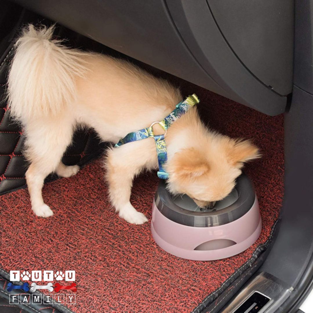 Gamelle eau chien anti renversement - StableToutou™