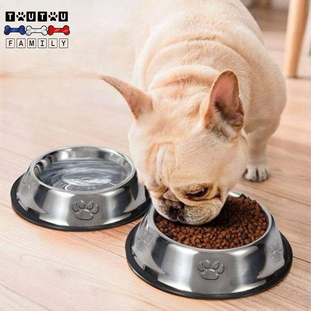 Gamelle en inox pour chien (lot de 2) - BolsToutou™