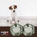Gamelle-en-inox-pour-chien-lot-de-2-gamelle-pour-chien-toy-chiot-200-ml-ou-grammes-un-chiot-avec-ses-deux-gamelles-inoxydable-antdérapante