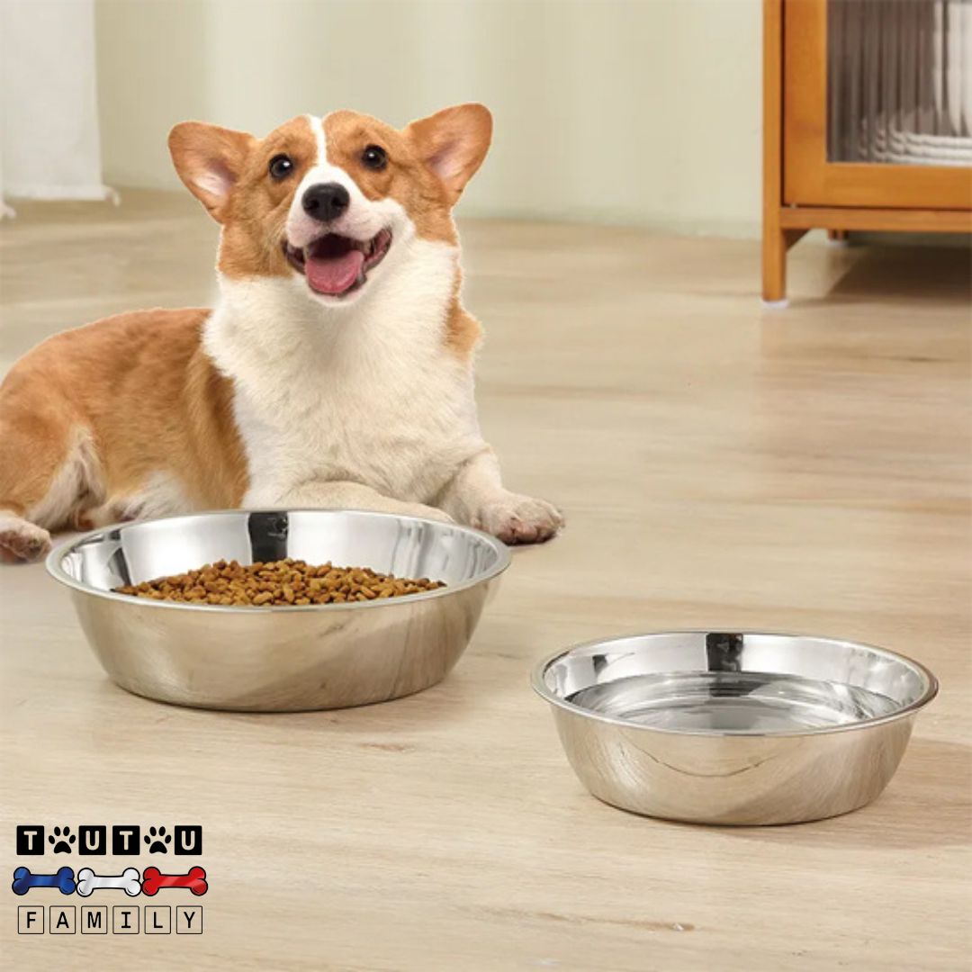 Gamelle en Inox pour chien (Lot de 2) - HygiéniqueToutou